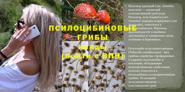 круглые Алзамай