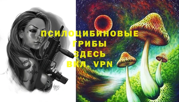 крисы Переславль-Залесский