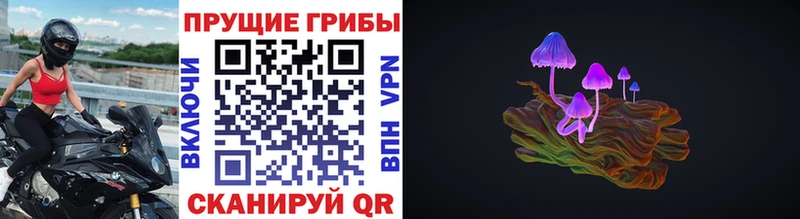 Псилоцибиновые грибы Cubensis  Салехард 