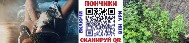 Бошки Шишки VHQ Салехард